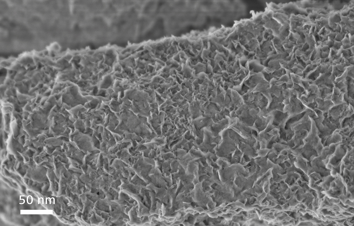 场发射宜宾扫描电镜