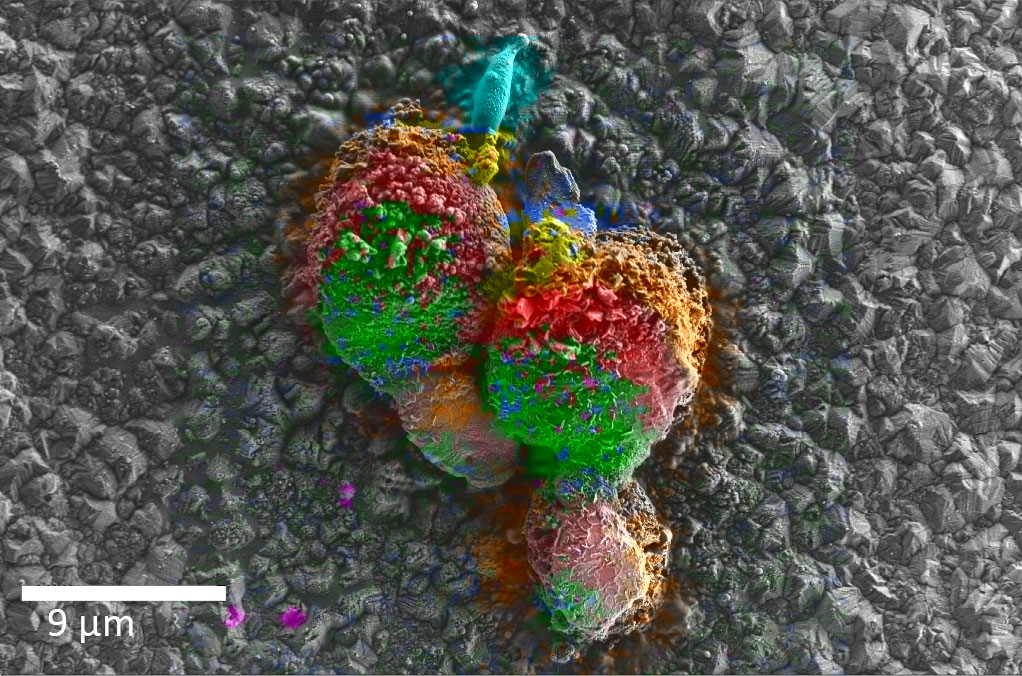 宜宾宜宾蔡司宜宾扫描电镜