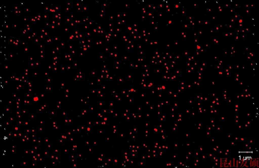 宜宾宜宾蔡司宜宾扫描电镜