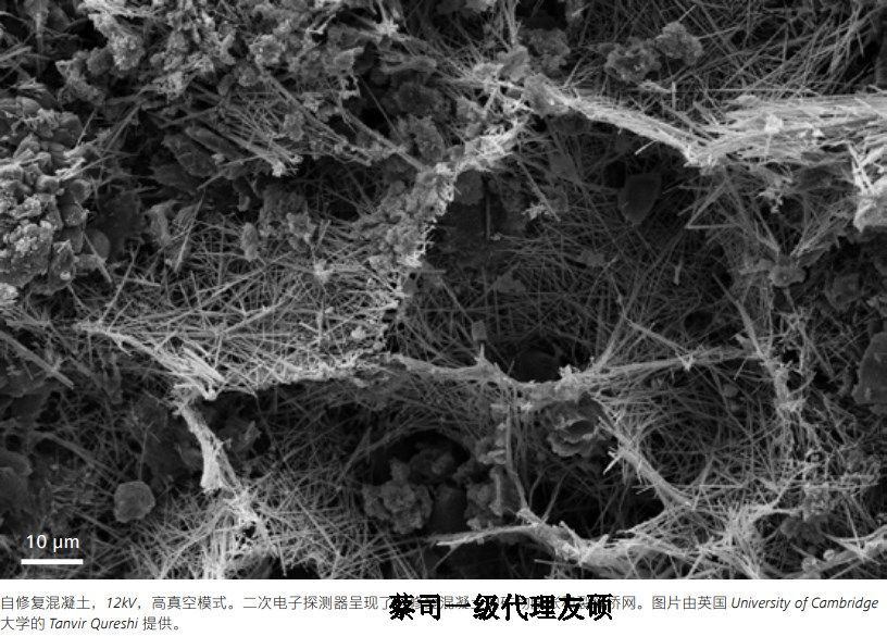 宜宾宜宾蔡司宜宾扫描电镜