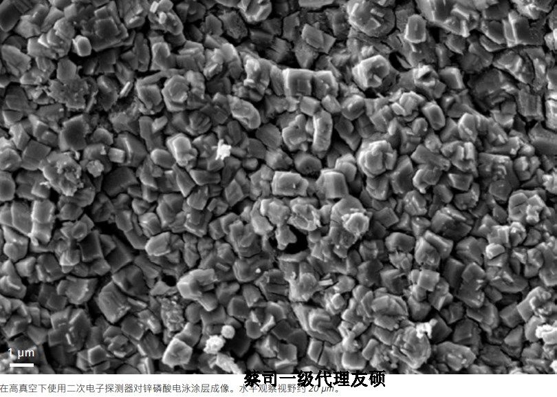 宜宾宜宾蔡司宜宾扫描电镜