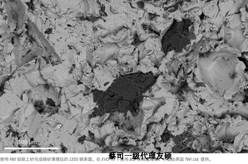 宜宾宜宾蔡司宜宾扫描电镜EVO