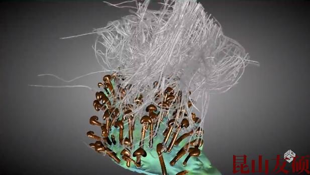 宜宾蔡司宜宾X射线显微镜